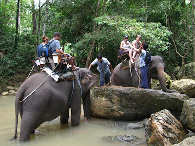 Book Elephant Trekking Trip Namunag Jungle Trip Koh Samui