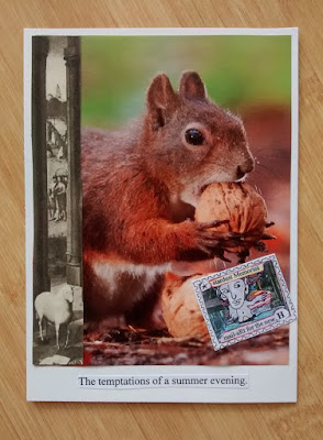 datacentrum_squirrel datacentrum_squirrel