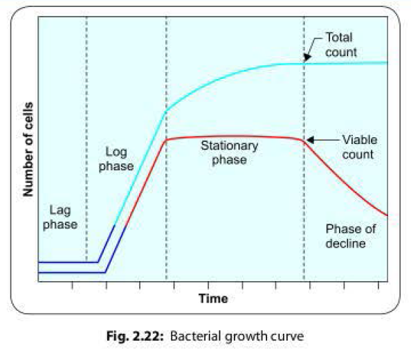 Bacterial Growth Curve: Factors affecting Bacterial Growth