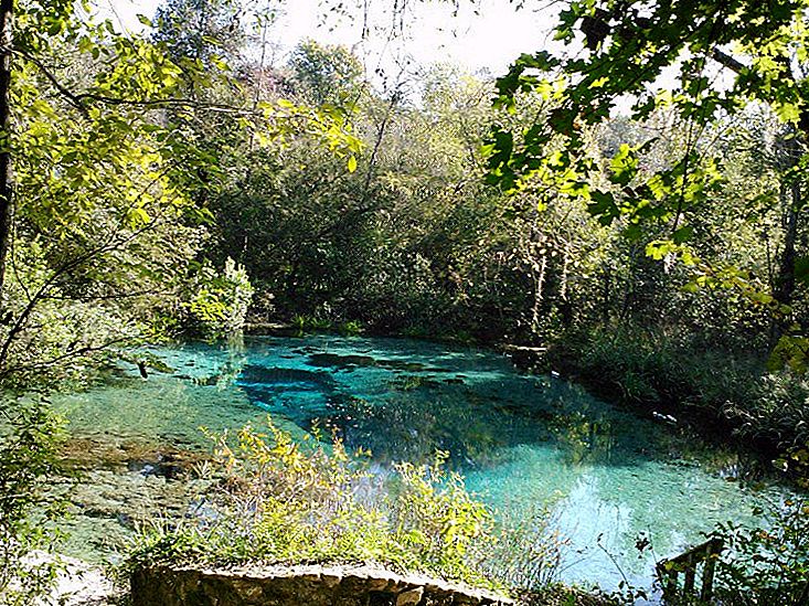 10 Florida Springs for Nature Lovers