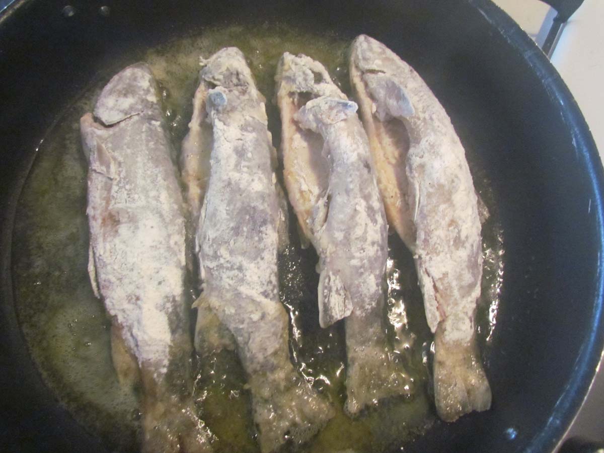 The Agatelady Adventures and Events School Forest Snoeshoe and Brook