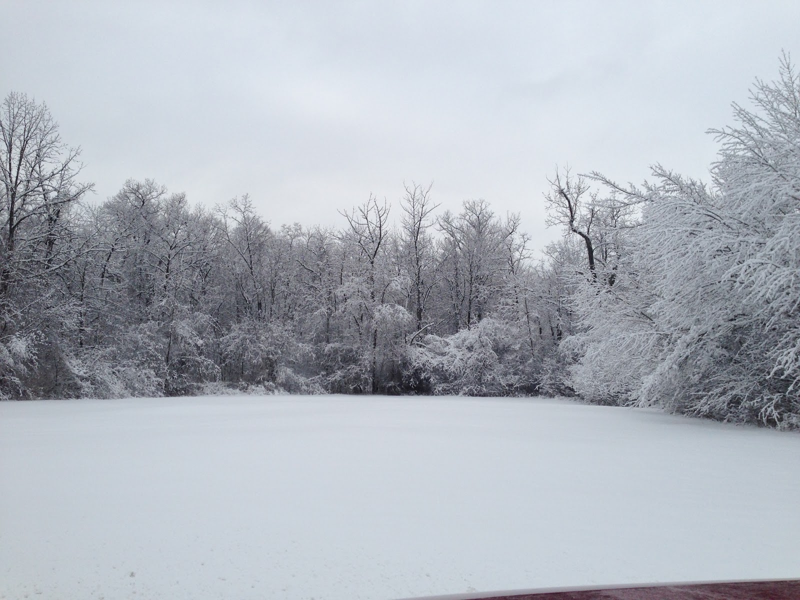 Patti's Creations Snow covered everything