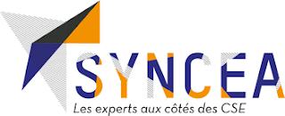 www.syncea.fr
