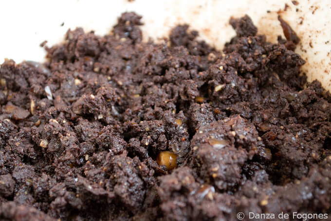 raw vegan brownie raw vegan brownie