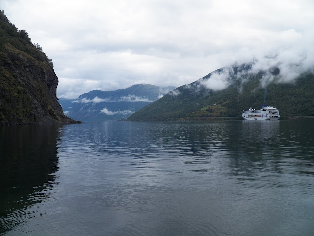 Fiordos Noruegos - Oslo (14 días por nuestra cuenta) Agosto 2013 - Blogs de Noruega - Día 6 (Nærøyfjord - Kaupanger - Flam) (9)