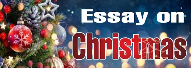 Essay on Christmas  edunation19