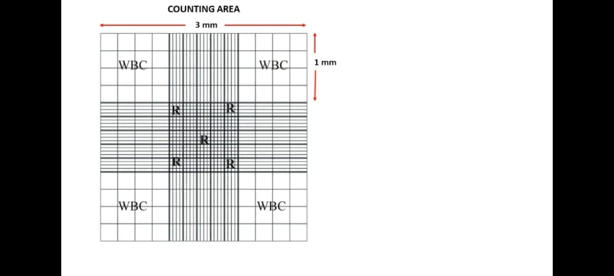 Manual Cell Counting Using Neubauer Chamber RBC Count WBC Count