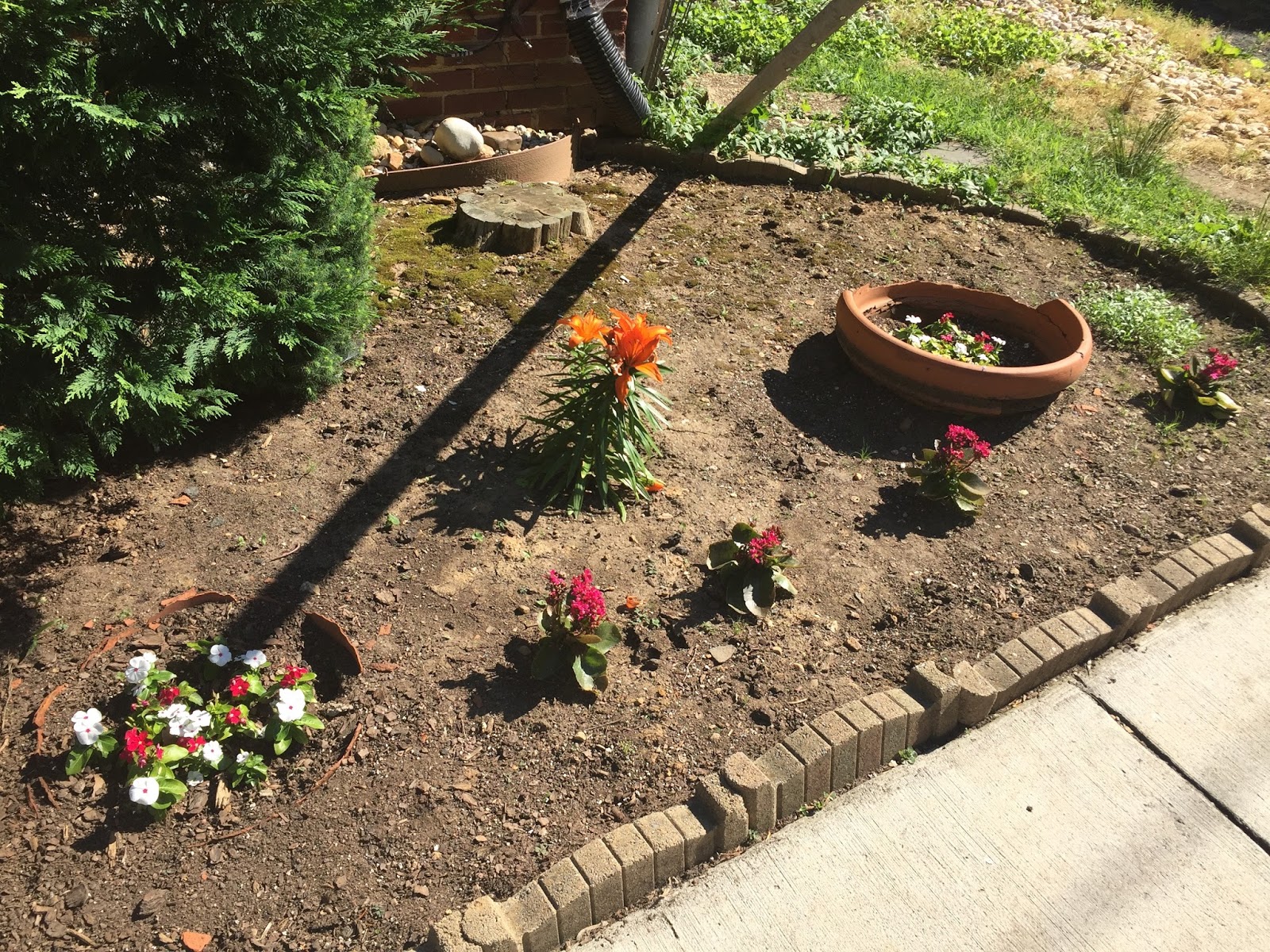 T B T And Little She Gardening My Hobby