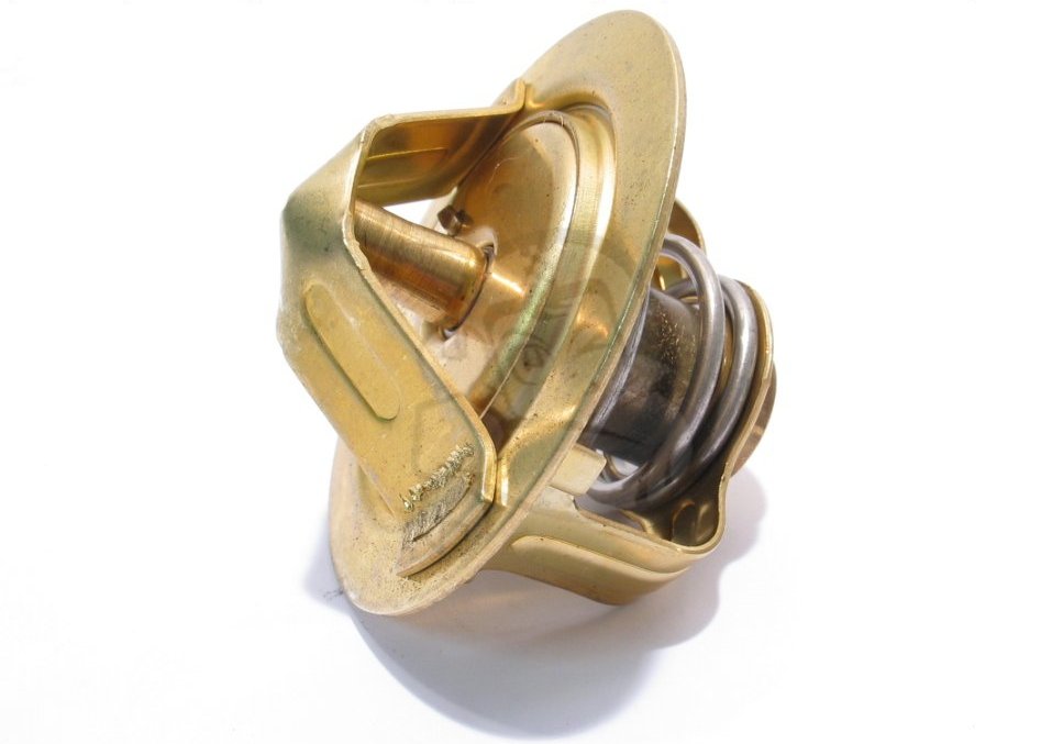 Lyickherry Termostat Kereta