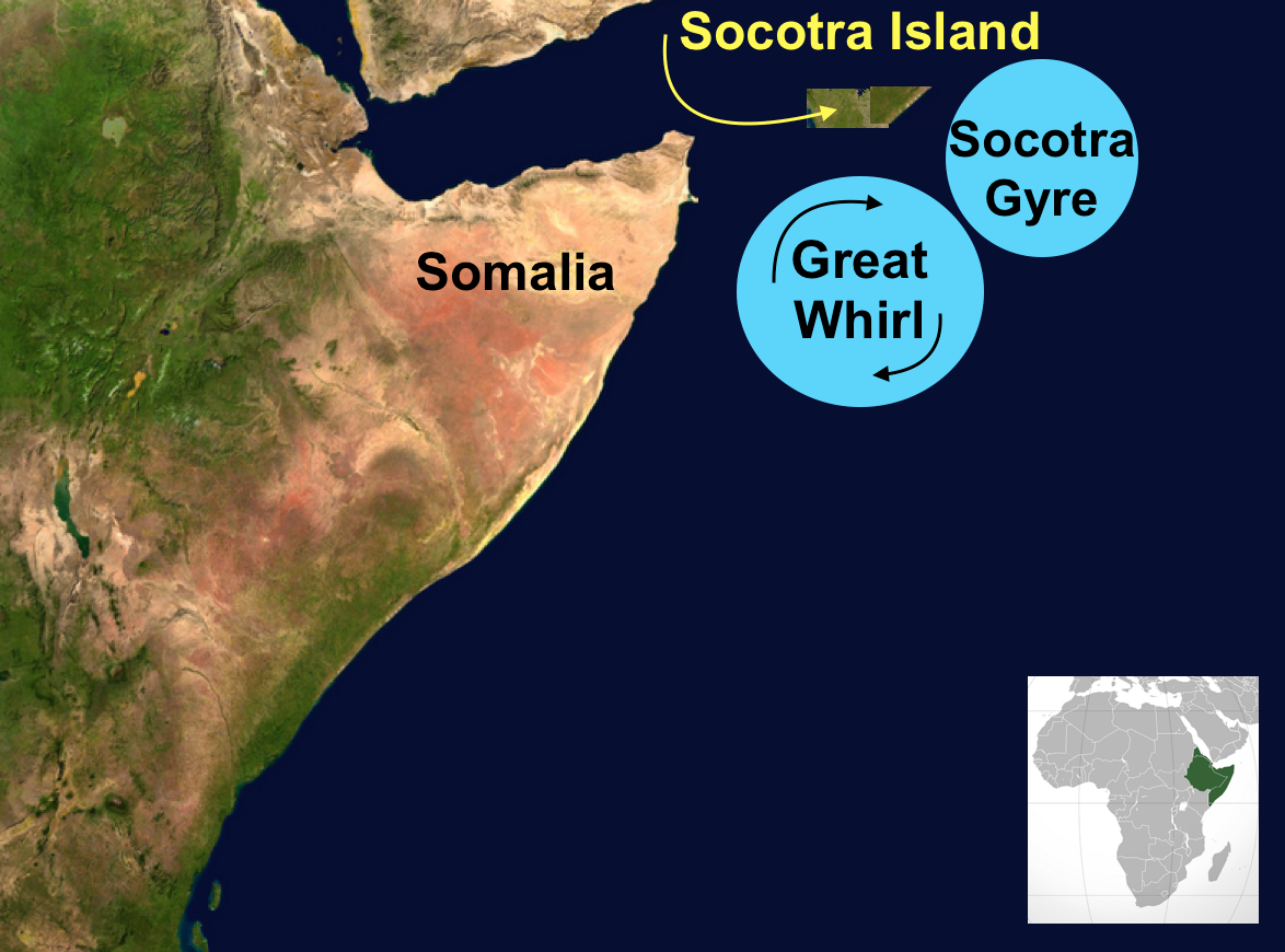 “Great Whirl”: Riesiger Wasserwirbel östlich von Afrika untersucht – derStandard.at