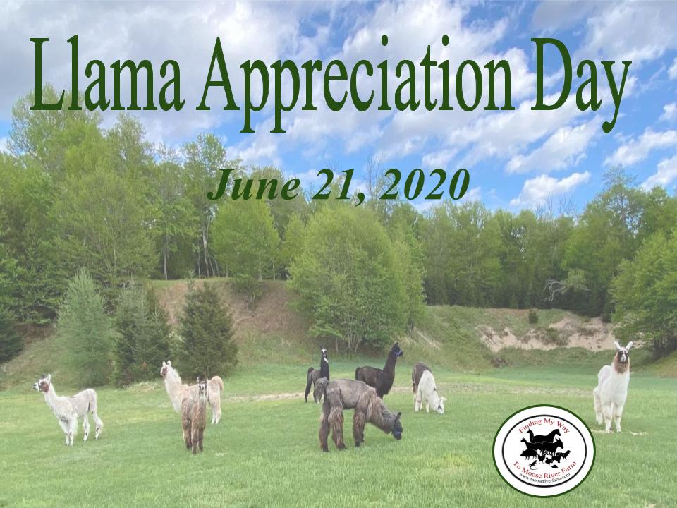 Findaway Adventures — Findaway Adventures Invests in Llama Naturals