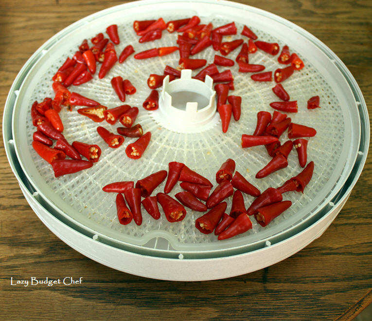 Lazy Budget Chef How to Make Dehydrator Chili Powder from Hot Peppers