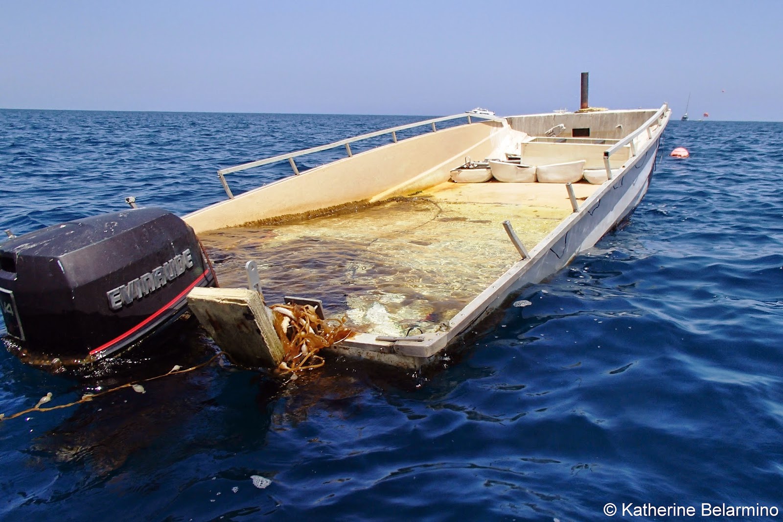 Exploring Catalina Island’s Deep Blue Sea Travel the World