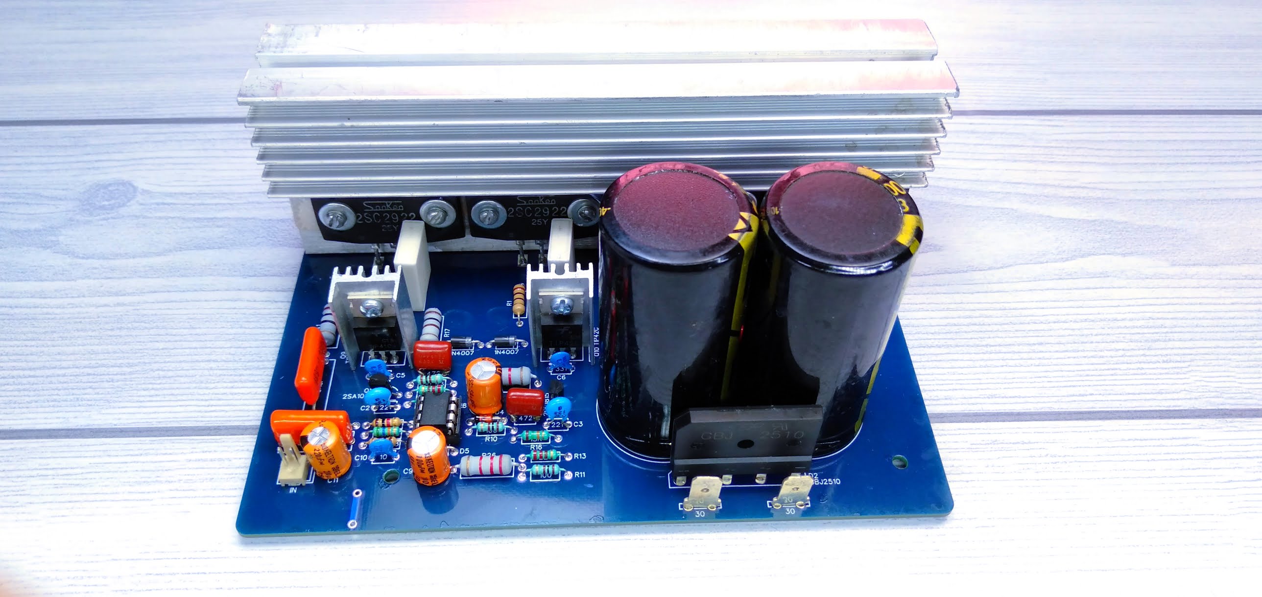 250 Watt Mono Amplifier