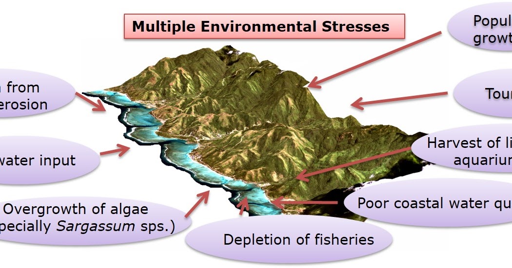How GeoSpatial Technology used for Watershed Delineation