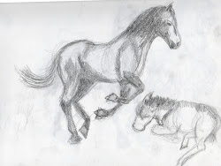 animal easy sketch sketches animals drawing practice horses britt graphics paintingvalley