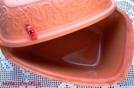 CROQUE - SANTÉ: CUISSON DANS UN DIABLE EN TERRE CUITE