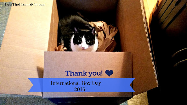 international box day