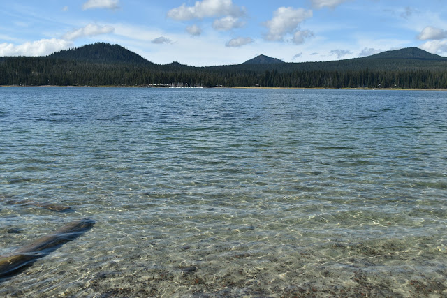 Oregon- Elk Lake