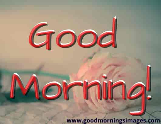 Good morning shayari picture free Good morning shayari picture free