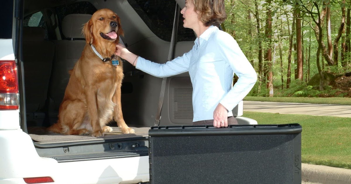 PetSafe Happy Ride Folding Pet Ramp