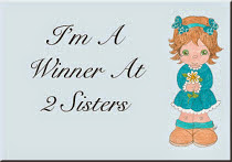 2 Sisters Challenge Blog