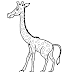 Desenho - Dona Girafa - Colorir e pintar