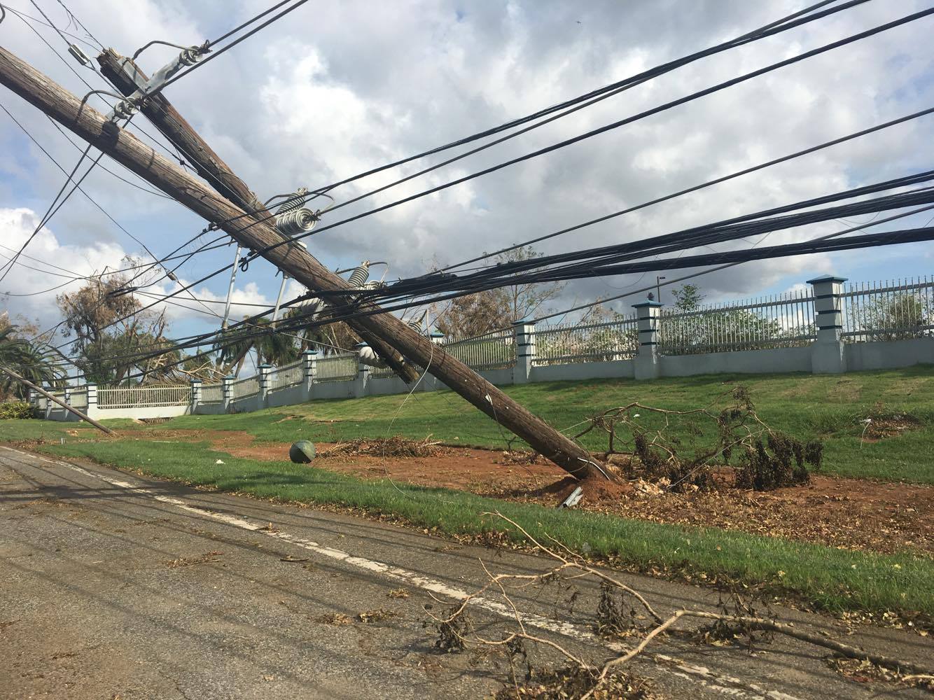 translation tribulations 2018