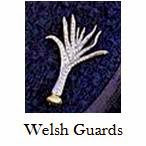 http://queensjewelvault.blogspot.com/2015/04/welsh-guards-badges.html