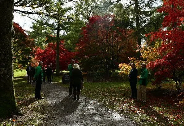 Westonbirt Arboretum is home to the national collection of Maples and Japanese Maple Cultivars. The Duchess is patron of Arboretum