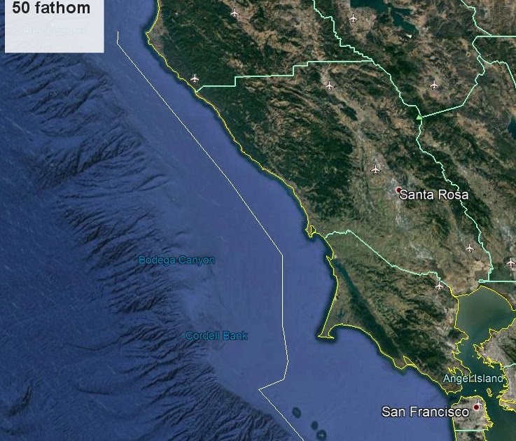 Lawson's Landing Fishing Report