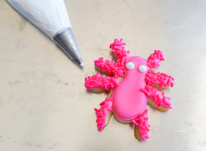 pink spider cute decorated halloween cookies