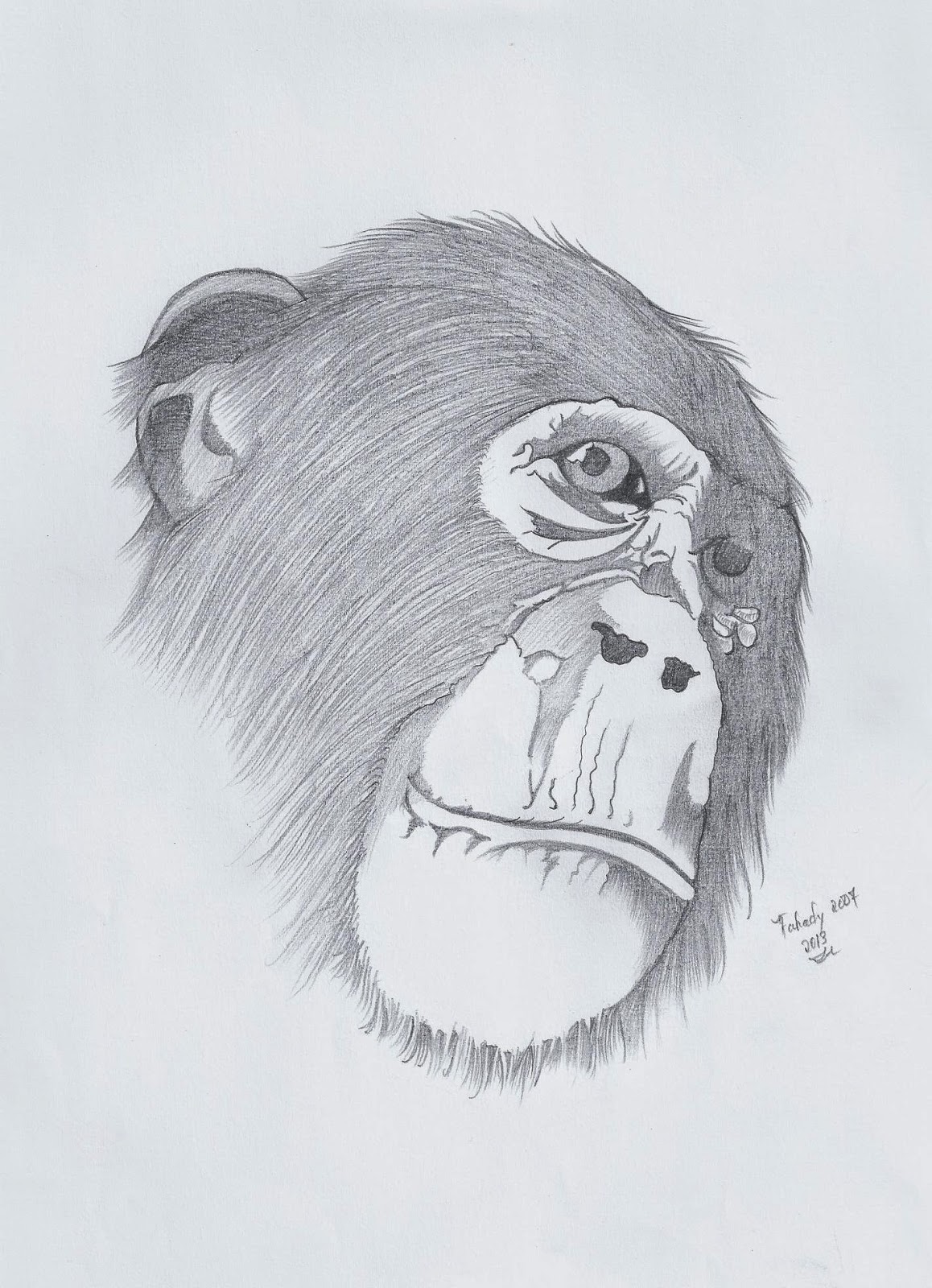 DRAWINGS FOREVER: King Kong