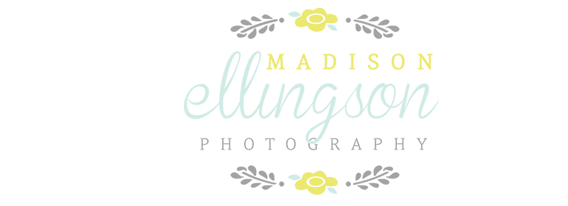Madison Ellingson Photography
