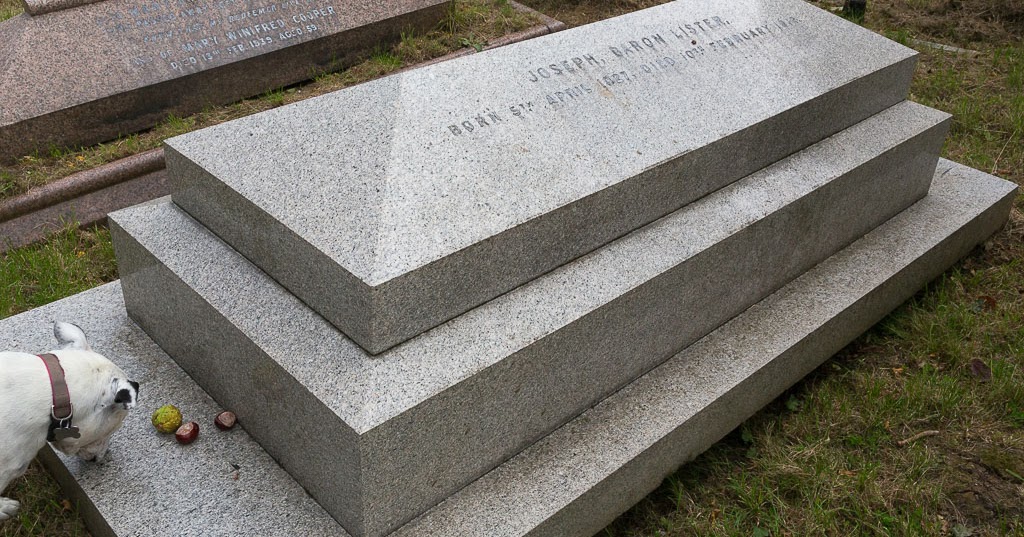 Shadows & Light Historic Graves at Hampstead Cemetery