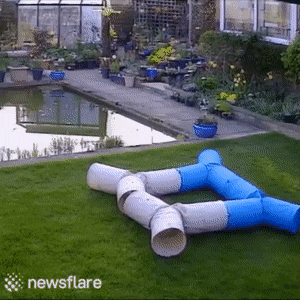 daily_gifdump_3619_12.gif