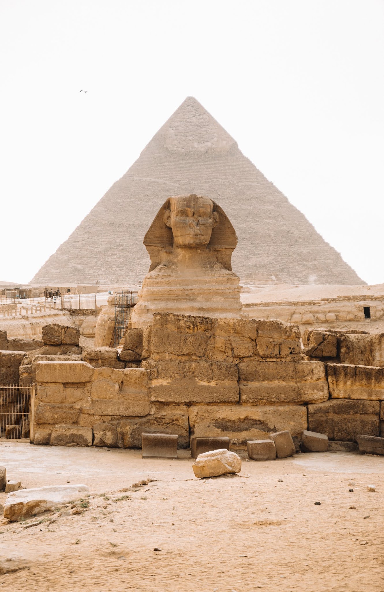 Architecture and the amazing sculptures of Ancient Egyptian civilization. The great Sphinx of Giza