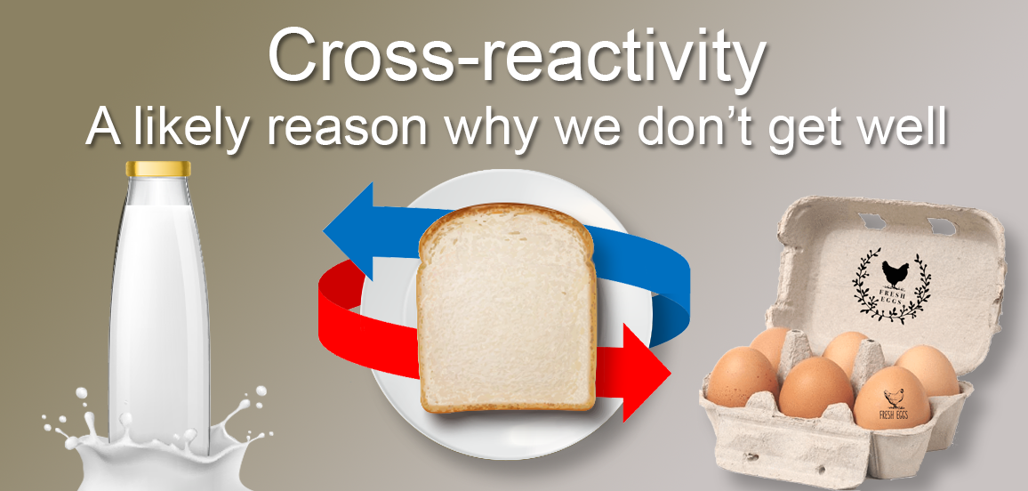 Crossreactivity why gluten free isn't always enough