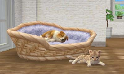 Download Cia: Nintendogs + Cats: Golden Retriever Friends