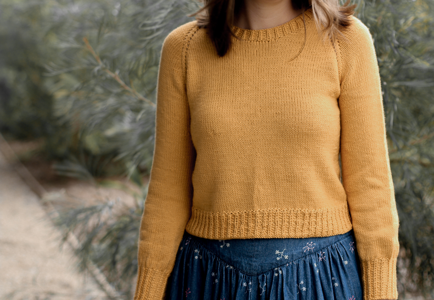 Cast Off Doocot Jumper / Say Little Hen