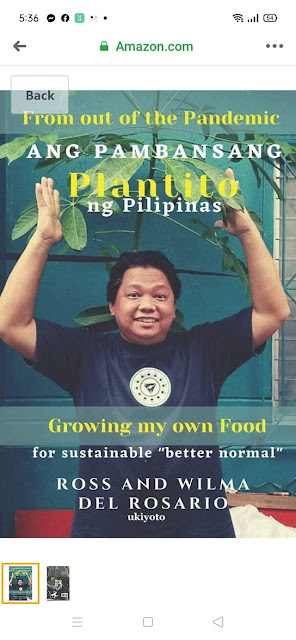 Sangguniang kabataan thesis pdf picture