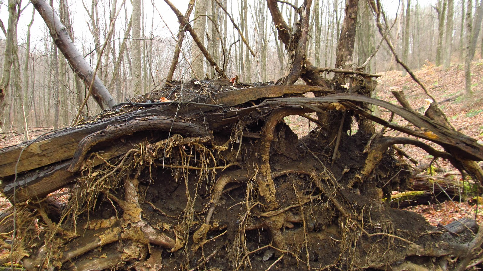 Old Industry of Southwestern Pennsylvania Turtle Creek Branch Of The