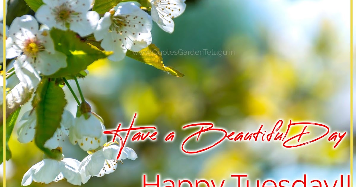 Happy tuesday images with great motivational quotes from Zig ziglar