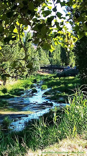 Campos verdejantes... / Green fields... A poesia é uma janela aberta... para horizontes irresistíveis!... / Poetry is an open window... for irresistible horizons!...