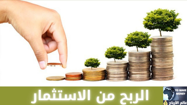 الاستثمار الاستثمار