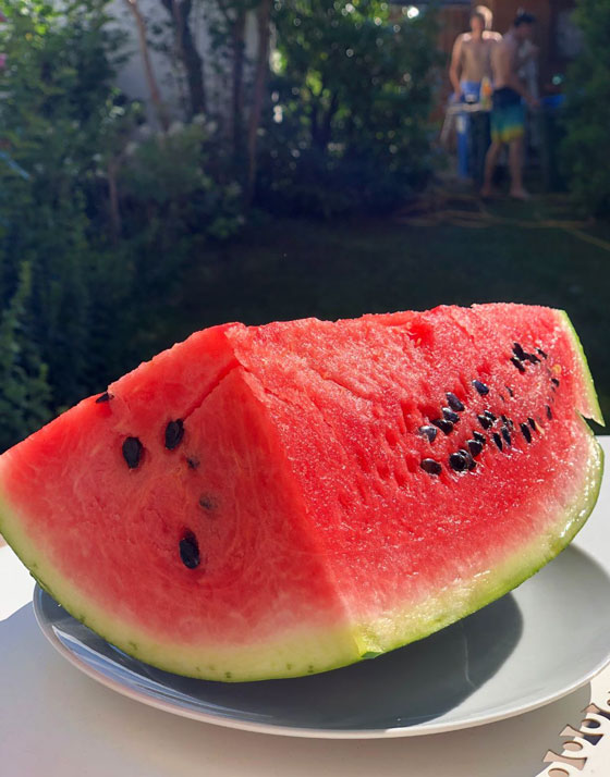 Abkühlung im Garten … mit MelonenEispops