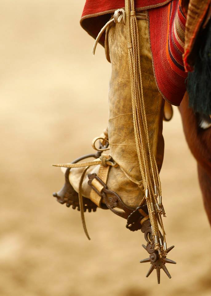 El GAUCHOGUACHO: Canto a la espuela