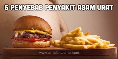 Penyebab Asam Urat