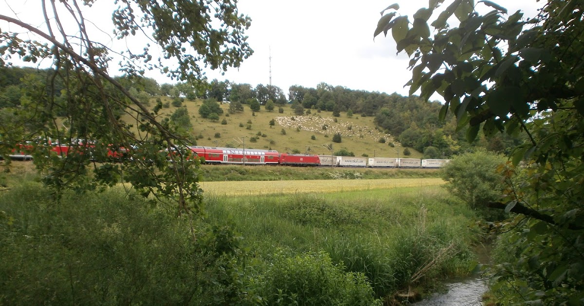 Die Schwäbische Alb und ihre Natur Naturschutzgebiete im AlbDonauKreis
