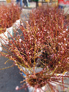 New York _Union Square